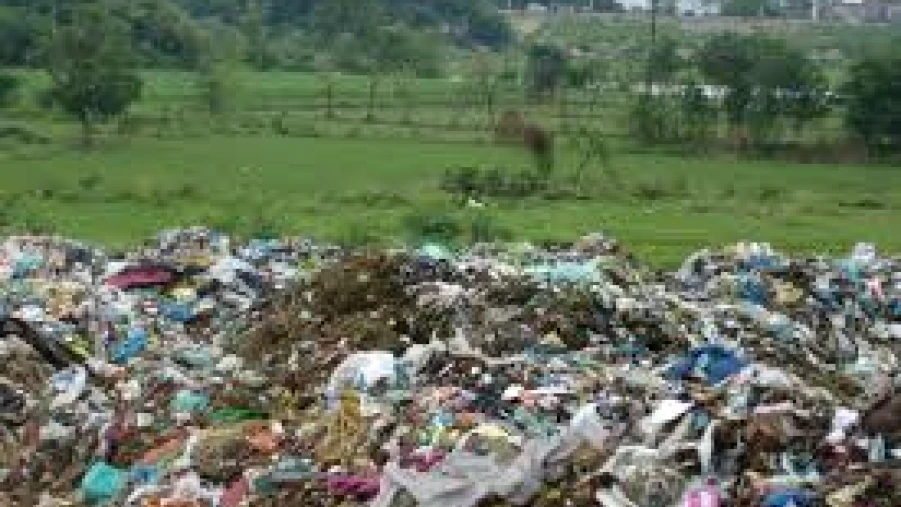 തലയാട് കാവുംപുറത്ത് ആശുപത്രിമാലിന്യം തള്ളുന്നതായി പരാതി