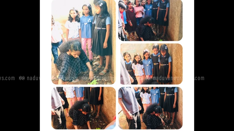 എസ്.എഫ്.ഐ. നൊച്ചാട് നോർത്ത് ലോക്കൽ കമ്മിറ്റി വൃക്ഷത്തൈ നട്ട് പരിസ്ഥിതി ദിനം ആഘോഷിച്ചു