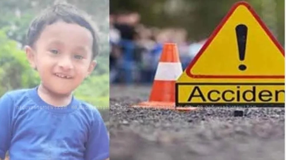 കാട്ടുപന്നി കുറുകെചാടി നിയന്ത്രണംവിട്ട ഓട്ടോ മറിഞ്ഞ് അഞ്ചുവയസുകാരൻ മരിച്ചു