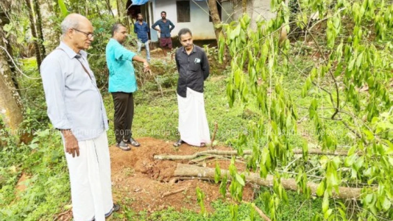 വലിയമലയിൽ ചന്ദനമരം മുറിച്ചുകടത്തുന്നത് വ്യാപകമാവുന്നു