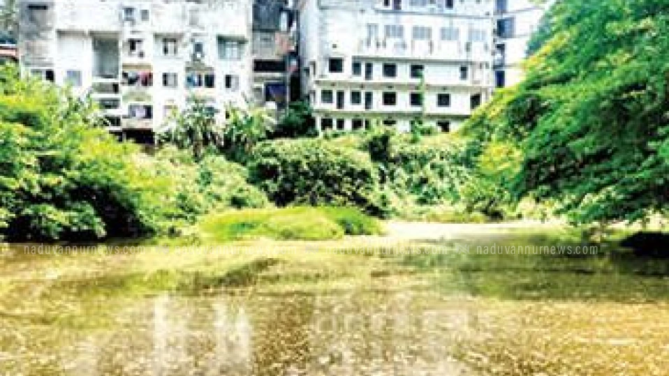 പൂനൂർപ്പുഴയെ വീണ്ടെടുക്കാൻ കൈയേറ്റങ്ങൾ ഒഴിപ്പിക്കണമെന്നാവശ്യം;  കളക്ടർക്ക് നിവേദനം നൽകി