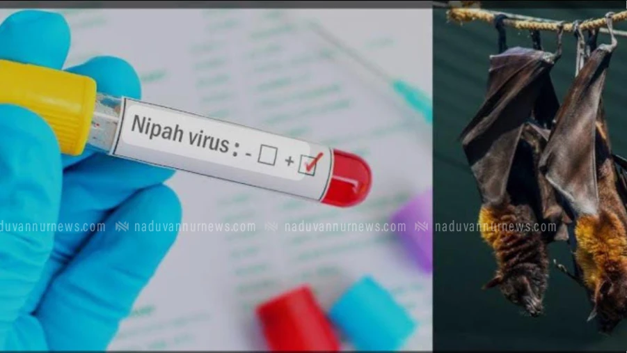 മേപ്പയ്യൂരിൽ നിപ പ്രതിരോധ പ്രവർത്തനം സജീവമാക്കി