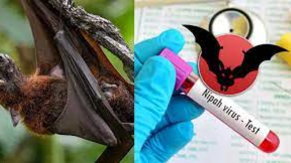 നിപ വ്യാപനം; കോഴിക്കോട് ജില്ലയിലെ വിദ്യാഭ്യാസ സ്ഥാപനങ്ങൾ അനിശ്ചിത കാലത്തേക്ക് അടച്ചു