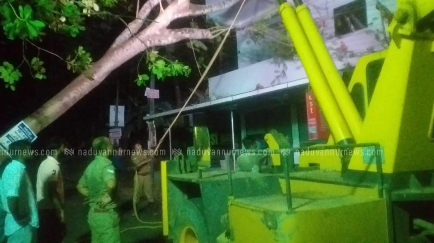  റോഡരികിലുള്ള മരം വീണ് ഗതാഗതം മുടങ്ങി