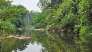 
                        കൂടത്തായി പുഴയില്‍ യുവാവിനെ മരിച്ച നിലയില്‍ കണ്ടെത്തി