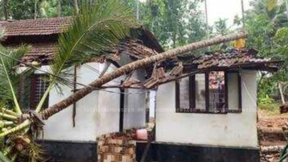 മുക്കത്ത് വീടിന് മുകളിലേക്ക് തെങ്ങ് വീണ് വീട്ടമ്മക്ക് പരിക്ക്