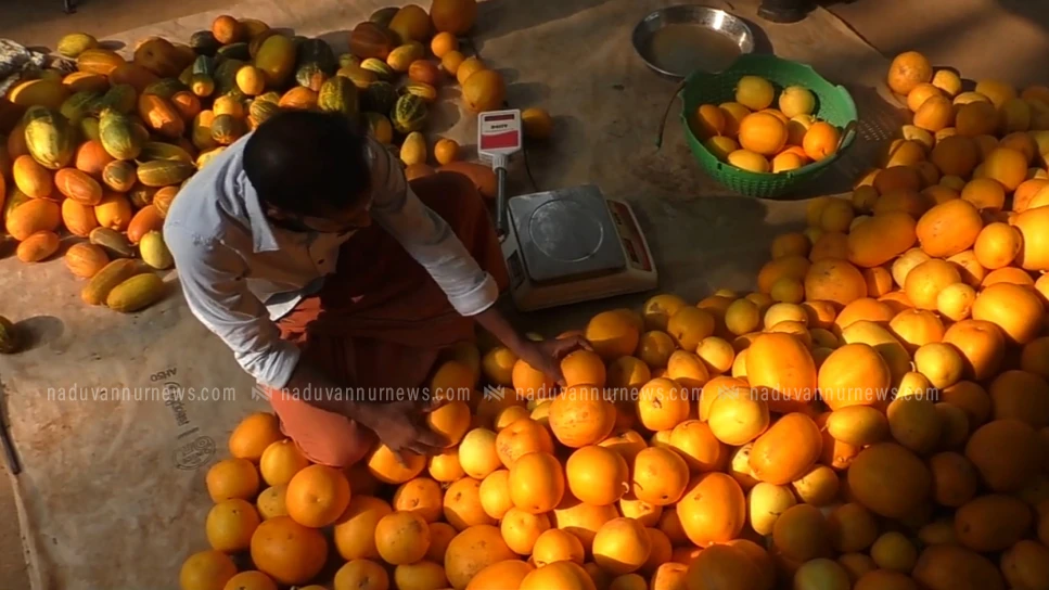 കണിവെള്ളരിക്കൃഷിയില്‍ വിജയഗാഥ രചിച്ച് നന്മണ്ട വയലോരത്തിലെ യുവകര്‍ഷകന്‍