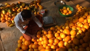 
                        കണിവെള്ളരിക്കൃഷിയില്‍ വിജയഗാഥ രചിച്ച് നന്മണ്ട വയലോരത്തിലെ യുവകര്‍ഷകന്‍