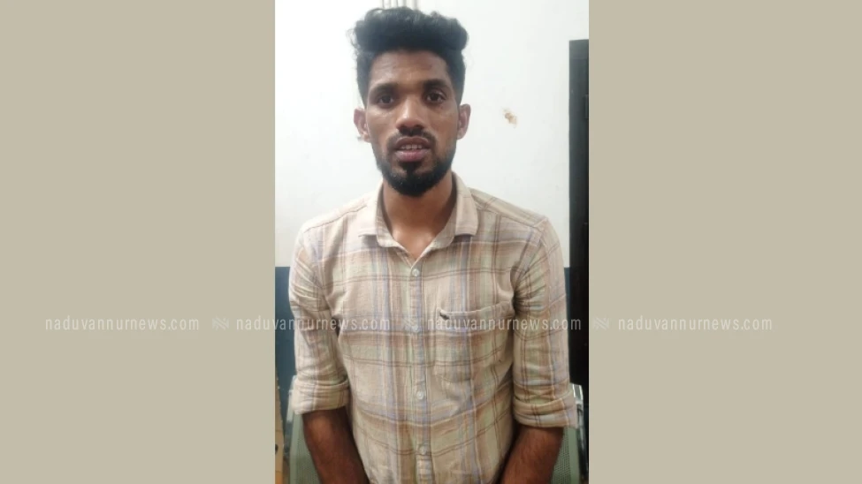 പതിനേഴ് വയസുകാരിയെ പീഡിപ്പിച്ച കേസ് ; യുവാവിന് ജീവപര്യന്തം