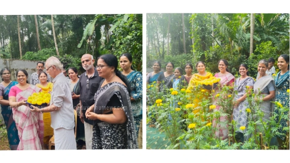 ചേമഞ്ചേരിയിൽ ചെണ്ടുമല്ലി കൃഷി വിളവെടുപ്പ് നടത്തി