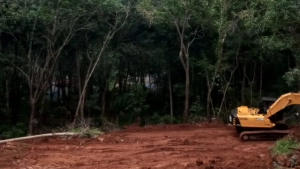 
                        മുതുകുന്നു മല ഇടിച്ചു നിരത്തുന്നത് തടയുക;ബി ജെ പി  കാരയാട് വാർഡ് കമ്മറ്റി