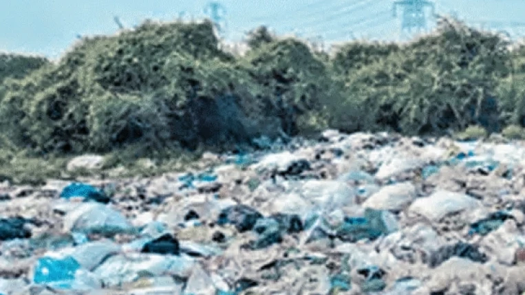  തമിഴ്‌നാട്ടില്‍ കേരളം തള്ളിയ മാലിന്യം നീക്കം ചെയ്യൽ നടപടി ആരംഭിച്ചു ; നടപടി ഹരിതട്രിബ്യൂണലിന്റെ ഉത്തരവിനെത്തുടര്‍ന്ന്