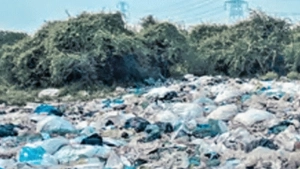 
                        തമിഴ്‌നാട്ടില്‍ കേരളം തള്ളിയ മാലിന്യം നീക്കം ചെയ്യൽ നടപടി ആരംഭിച്ചു ; നടപടി ഹരിതട്രിബ്യൂണലിന്റെ ഉത്തരവിനെത്തുടര്‍ന്ന്