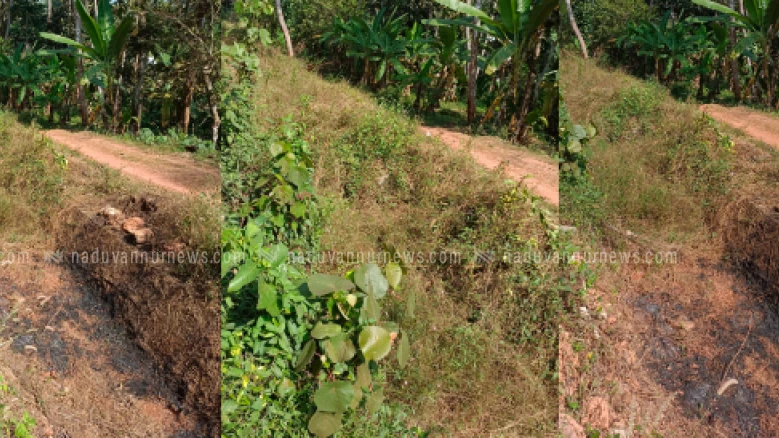 അയനിക്കാട്, ബ്രാഞ്ച് കനാൽ ശുചീകരണം പ്രഹസനമാക്കിയെന്ന് പരാതി