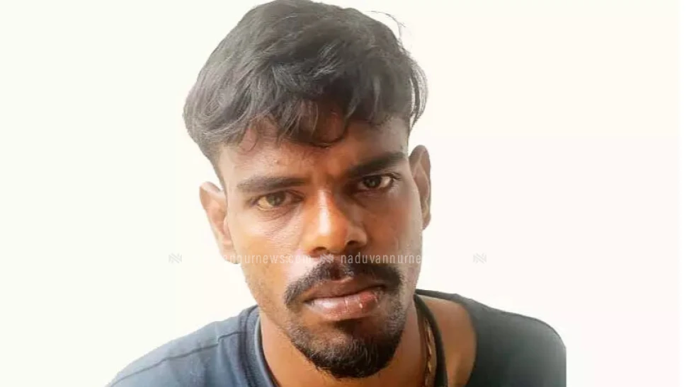 ഇരുമുടികെട്ടില്ലാതെ എത്തിയ ആന്ധ്ര സ്വദേശിയിൽ നിന്ന് കഞ്ചാവ് പിടികൂടി