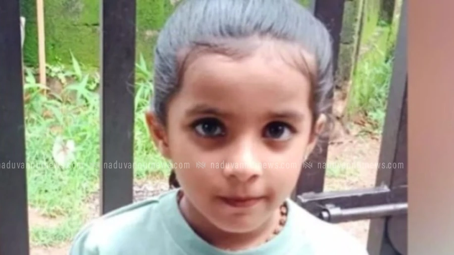  മണ്ണാർക്കാട് സ്കൂൾ ബസ്സിടിച്ച് ആറ് വയസ്സ് കാരിക്ക് ദാരുണാന്ത്യം