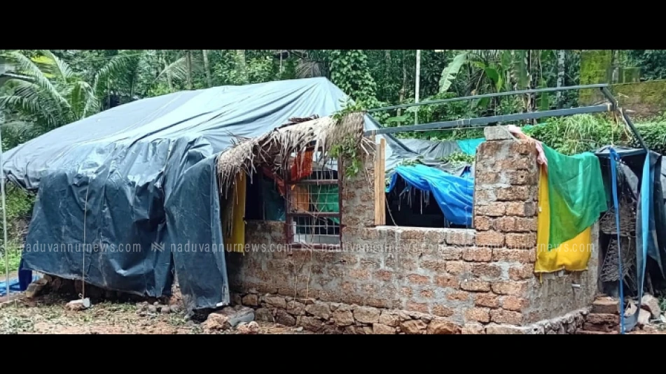 കൊഴുക്കല്ലൂരിൽ മരം വീണ് വീട് തകർന്നു; ഉറങ്ങിക്കിടന്ന കുടുംബം രക്ഷപ്പെട്ടത് തലനാരിഴയ്ക്ക്