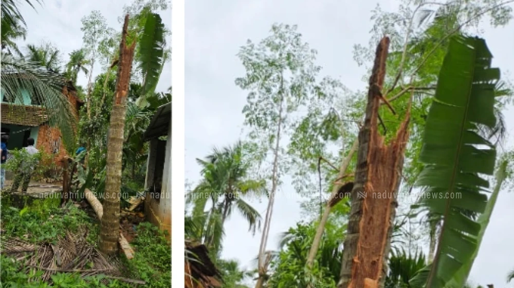 ചുഴലിക്കാറ്റിൽ നൊച്ചാട് പഞ്ചായത്തിൽ കനത്ത നാശം