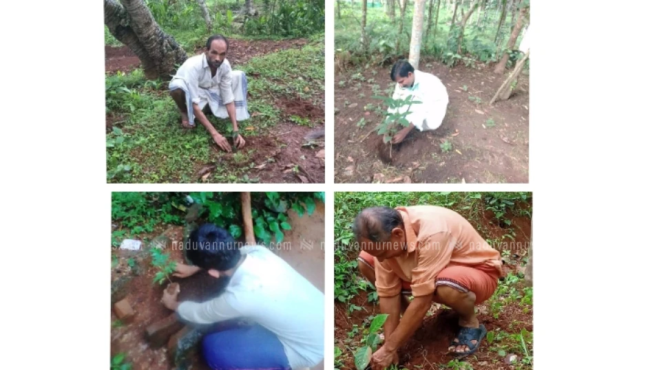 നാഷണൽ ജനതാദൾ ബാലുശ്ശേരി പരിസ്ഥിതി ദിനാചരണം സംഘടിപ്പിച്ചു