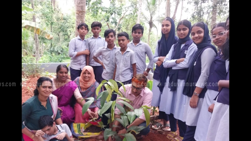 അരിക്കുളം കെ.പി.എം.എസ്.എം. എച്ച്.എസ്.എസിൽ പരിസ്ഥിതി ദിനാചരണം സംഘടിപ്പിച്ചു