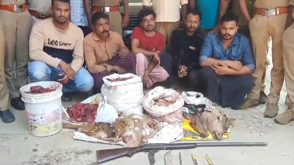 അട്ടപ്പാടിയിൽ മാനിറച്ചിയുമായി നായാട്ട് സംഘത്തെ പിടികൂടി