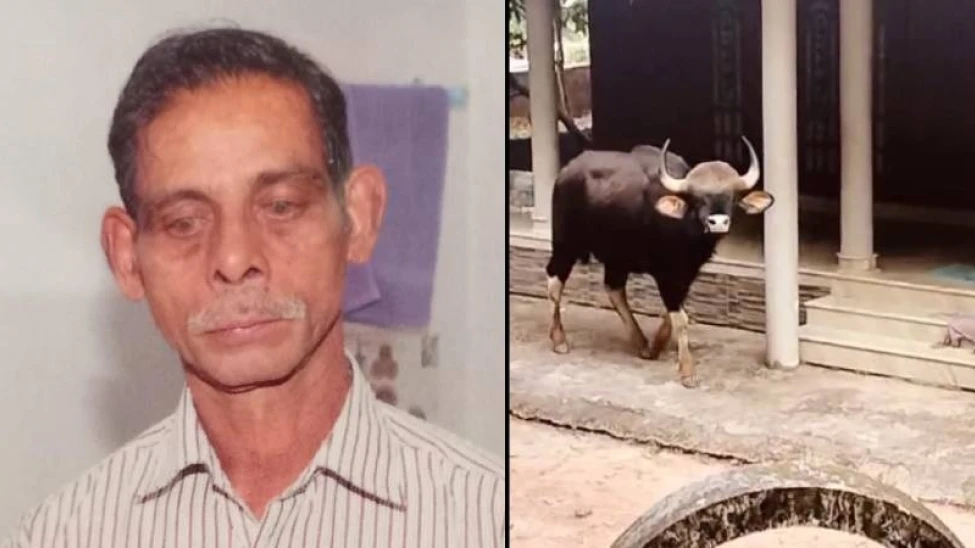 കക്കയത്ത് കൊല്ലപ്പെട്ട അബ്രഹാമിൻ്റെ സംസ്കാരം ഇന്ന് വൈകിട്ട്