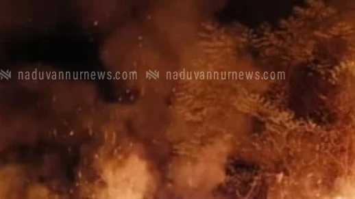 കക്കയത്ത് കെ.എസ്.ഇ.ബി പവർഹൗസിന് സമീപം വൻ തീപിടുത്തം