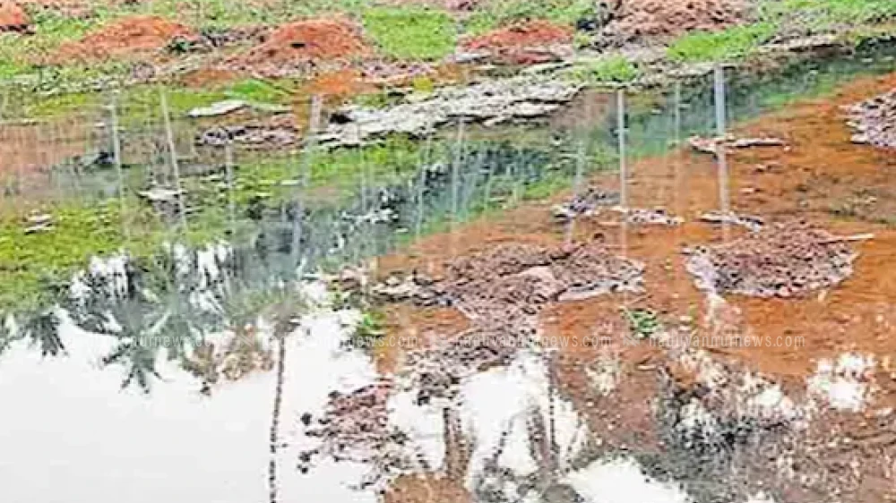 കുറ്റ്യാടി ജലസേചന പദ്ധതി കനാൽ തുറന്നിട്ടും കൃഷിയിറക്കാൻ കഴിയാതെ കർഷകർ 