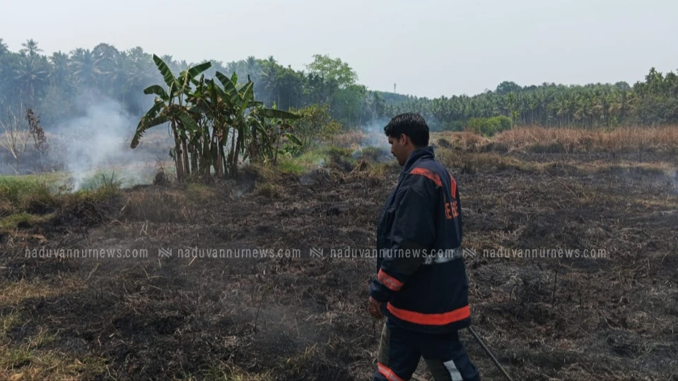 കടിയങ്ങാട് കുനിയോട് പാടശേഖരത്തില്‍ അഗ്നിബാധ
