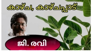 തുടർക്കഥയാകുന്ന മുങ്ങിമരണങ്ങൾ: ജി രവി