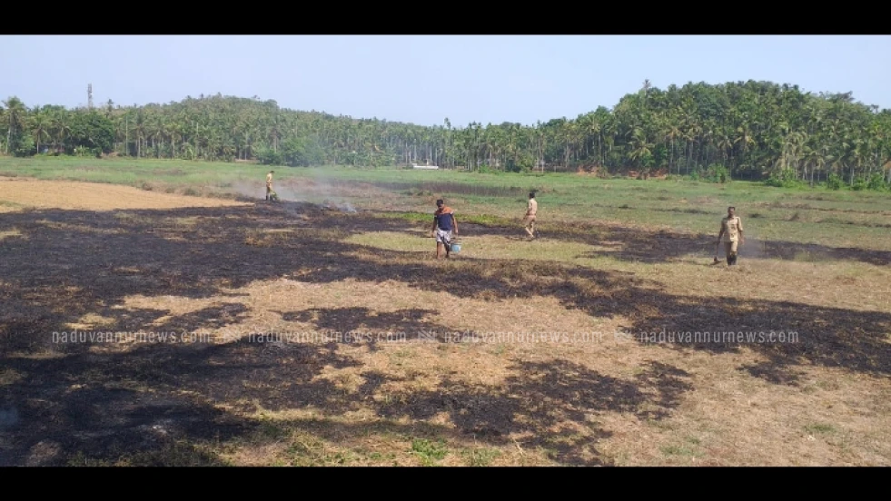 കാവുന്തറ മാവട്ട് താഴെ വയലിൽ തീപ്പിടുത്തം; ഒരേക്കറോളം സ്ഥലം കത്തിനശിച്ചു