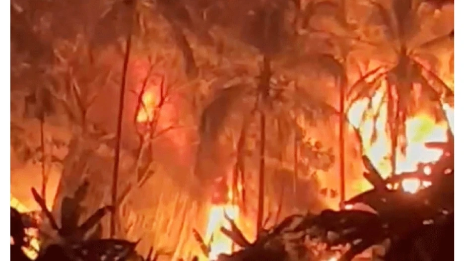 കുറ്റിക്കാട്ടൂരിൽ പ്ലാസ്റ്റിക് സംഭരണ കേന്ദ്രത്തിൽ വൻ തീപ്പിടിത്തം