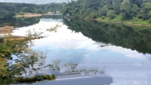 
                        ചാലിയാർ തീരം സൗന്ദര്യവൽക്കരണ പദ്ധതിയുടെ പ്രവൃത്തിയാരംഭിച്ചു