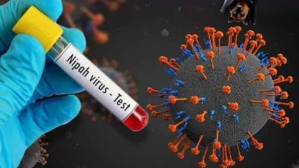  മലപ്പുറത്ത് മരിച്ച 24കാരന് നിപ സ്ഥിരീകരിച്ചു; പുനെ വൈറോളജി ഇന്‍സ്റ്റിറ്റ്യൂട്ടിലെ ഫലം പോസിറ്റീവ്