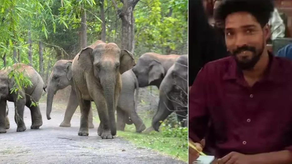 കാട്ടാന ആക്രമണം; യുവാവിന് ദാരുണാന്ത്യം