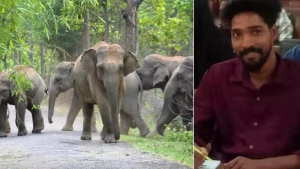 
                        കാട്ടാന ആക്രമണം; യുവാവിന് ദാരുണാന്ത്യം