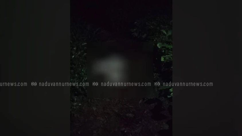 വയനാട്ടില്‍ വീണ്ടും കാട്ടാന ആക്രമണം; ചവിട്ടേറ്റ് ഒരാള്‍ക്ക് ദാരുണാന്ത്യം