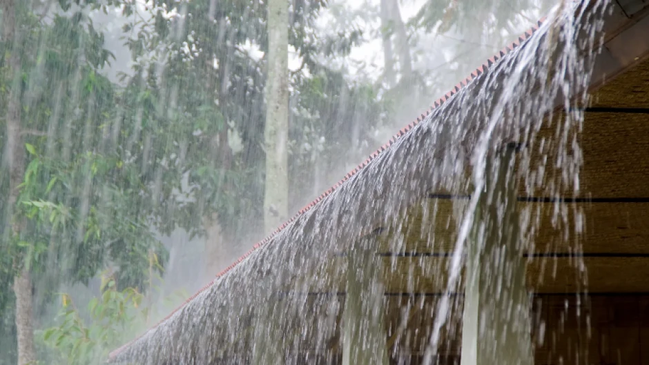 മഴ ജാഗ്രത; ഇരുവഴിഞ്ഞി പുഴയിൽ മലവെള്ള പാച്ചില്‍, നാല് ജില്ലകളില്‍ റെഡ് അലര്‍ട്ട്