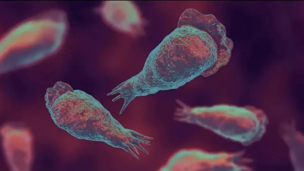 മലപ്പുറത്ത് വീണ്ടും അമീബിക് മസ്തിഷ്ക ജ്വരം; 11 വയസുള്ള കുട്ടിക്ക് രോഗം സ്ഥിരീകരിച്ചു