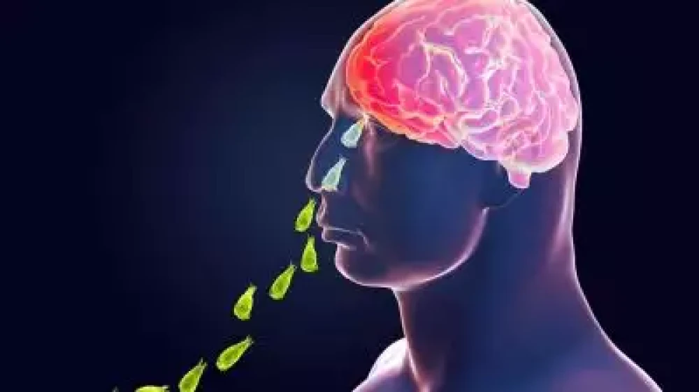  സംസ്ഥാനത്ത് ഒരാൾക്ക് കൂടി അമീബിക് മസ്തിഷ്‌ക ജ്വരം