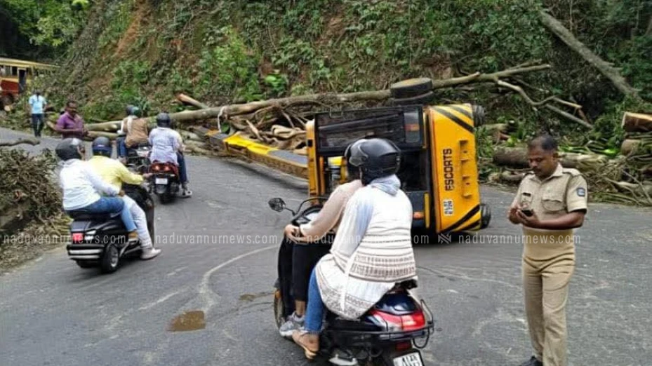 ചുരത്തിൽ ക്രെയിൻ മറിഞ്ഞ് അപകടം; ഗതാഗത തടസ്സം നേരിടുന്നു