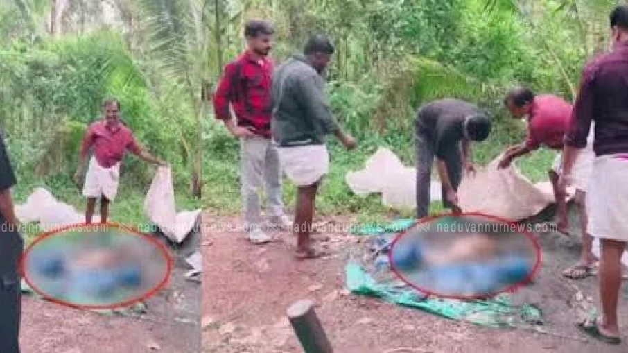 വാകയാട്ട്  വീട്ടുമുറ്റത്ത് നിന്ന് യുവാക്കളെ കുറുക്കൻ ആക്രമിച്ചു