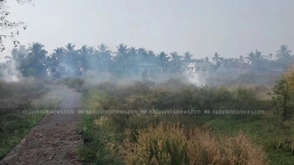  വടകര താഴെ അങ്ങാടി ഖബർസ്ഥാനിൽ തീപിടുത്തം