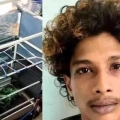 വീടിനുള്ളിൽ ഹൈടെക് കഞ്ചാവ് തോട്ടമുണ്ടാക്കിയ യുവാവിനെ പൊലീസ് അറസ്റ്റ് ചെയ്തു