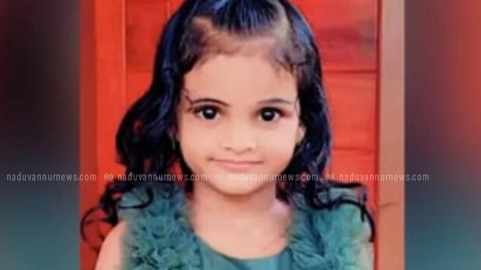  കരിയാത്തുംപാറയിലെത്തിയ വിനോദസഞ്ചാര സംഘത്തിലെ ആറ് വയസുകാരി  മുങ്ങിമരിച്ചു