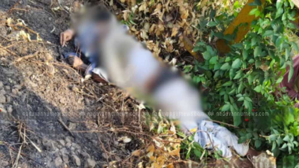 വടകര കരിമ്പനപ്പാലത്ത് യുവാവ് ട്രെയിനിൽ നിന്ന് വീണു മരിച്ച നിലയിൽ