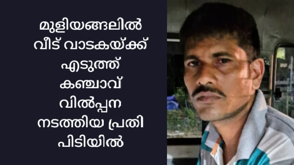 മുളിയങ്ങലിൽ കഞ്ചാവുമായി പശ്ചിമ ബംഗാൾ സ്വദേശി പിടിയിൽ