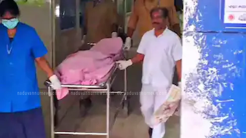 പാലക്കാട് ഭാര്യയെ ഭര്‍ത്താവ് കുത്തിക്കൊന്നു