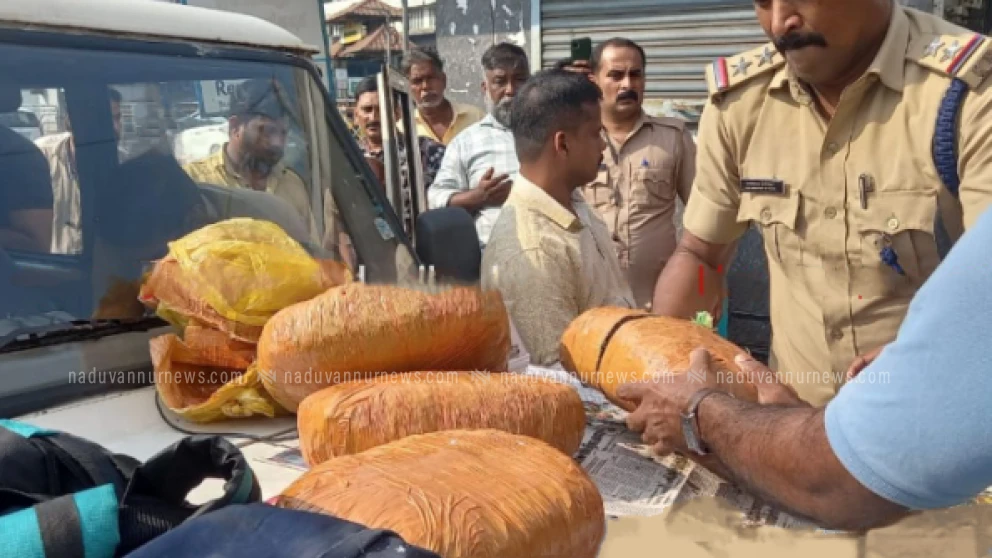 കോഴിക്കോട് പുതിയ സ്റ്റാൻഡിൽ വൻ കഞ്ചാവ് വേട്ട