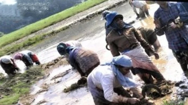 തൊഴിലുറപ്പ് പദ്ധതിയിൽ മികച്ച പ്രവർത്തനം നടത്തിയതിന് മൂടാടി ഗ്രാമപഞ്ചായത്തിന് ഒന്നാം സ്ഥാനം 